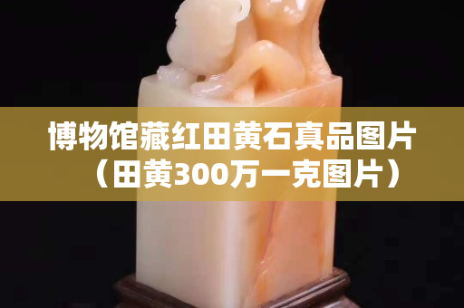 博物馆藏红田黄石真品图片（田黄300万一克图片）