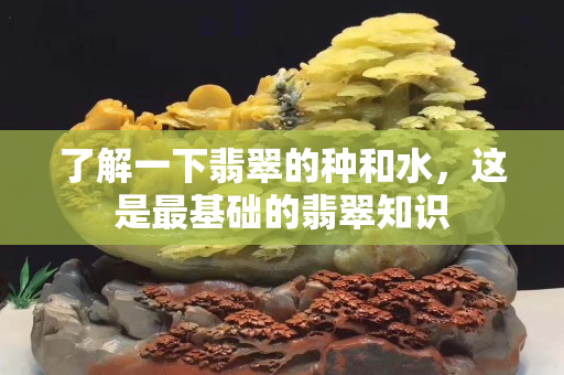 了解一下翡翠的种和水，这是最基础的翡翠知识