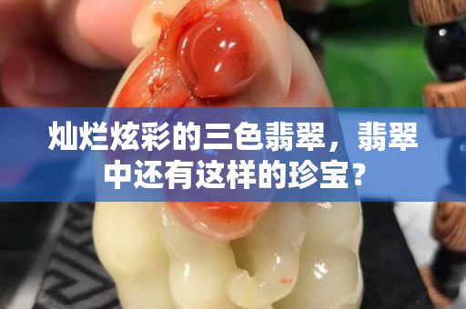 灿烂炫彩的三色翡翠，翡翠中还有这样的珍宝？