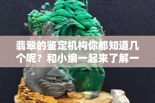 翡翠的鉴定机构你都知道几个呢？和小编一起来了解一下。