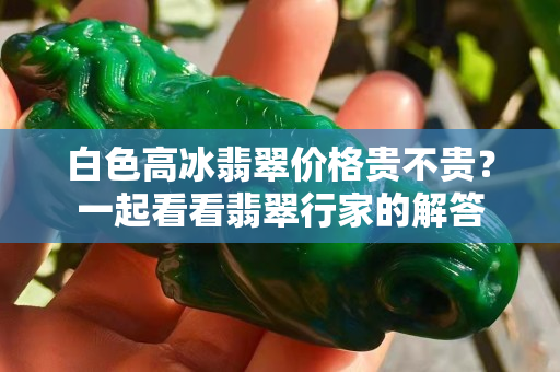 白色高冰翡翠价格贵不贵？一起看看翡翠行家的解答