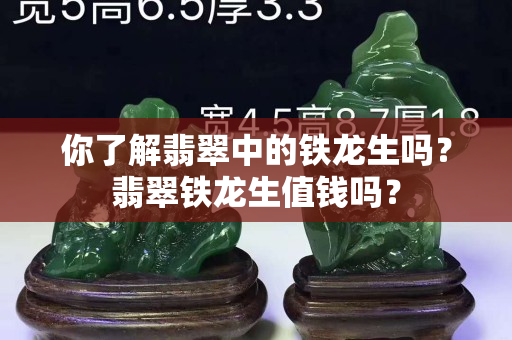 你了解翡翠中的铁龙生吗？翡翠铁龙生值钱吗？