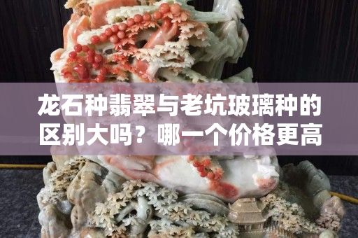 龙石种翡翠与老坑玻璃种的区别大吗？哪一个价格更高？