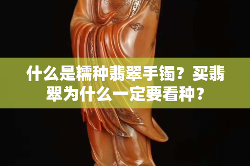 什么是糯种翡翠手镯？买翡翠为什么一定要看种？