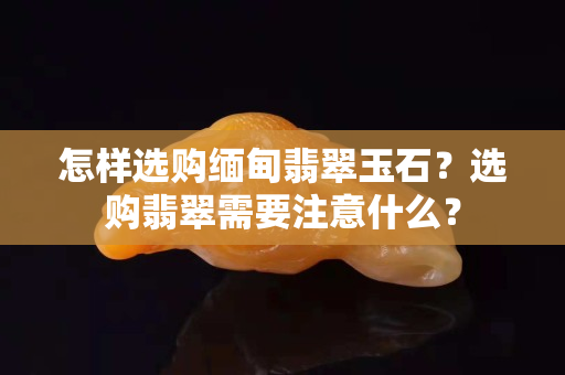 怎样选购缅甸翡翠玉石？选购翡翠需要注意什么？