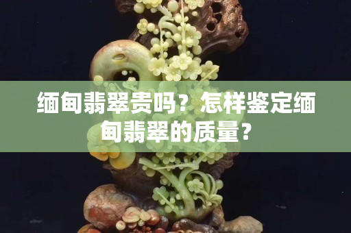 缅甸翡翠贵吗？怎样鉴定缅甸翡翠的质量？