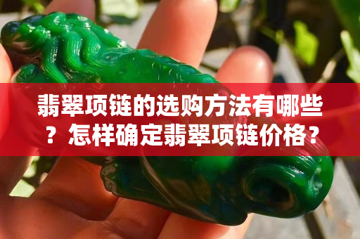 翡翠项链的选购方法有哪些？怎样确定翡翠项链价格？