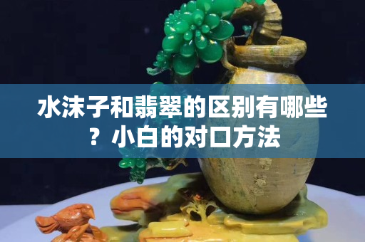 水沫子和翡翠的区别有哪些？小白的对口方法