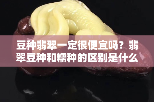 豆种翡翠一定很便宜吗？翡翠豆种和糯种的区别是什么？