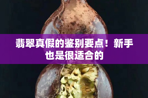 翡翠真假的鉴别要点！新手也是很适合的