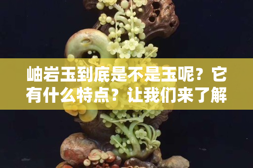 岫岩玉到底是不是玉呢？它有什么特点？让我们来了解一下