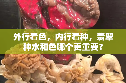 外行看色，内行看种，翡翠种水和色哪个更重要？