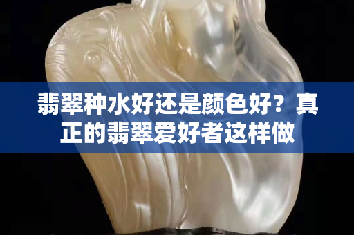 翡翠种水好还是颜色好？真正的翡翠爱好者这样做