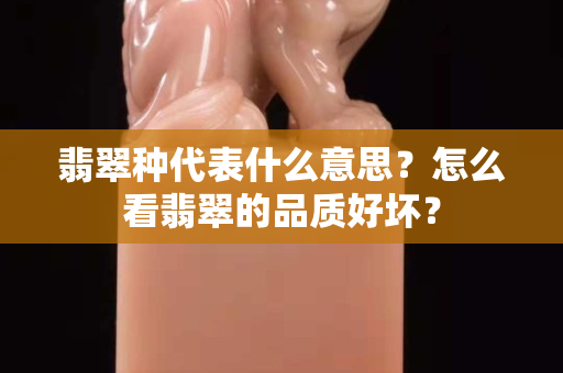 翡翠种代表什么意思？怎么看翡翠的品质好坏？