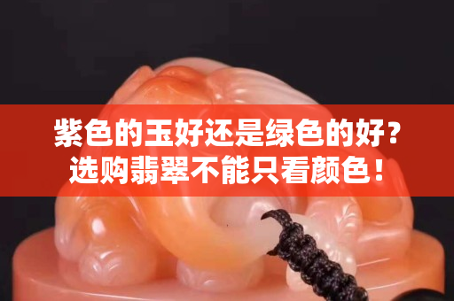 紫色的玉好还是绿色的好？选购翡翠不能只看颜色！