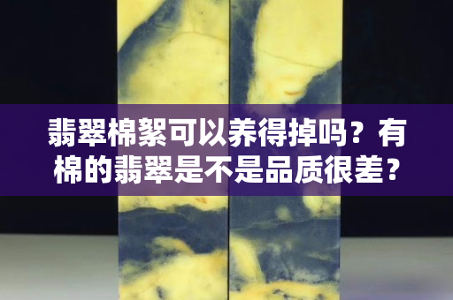 翡翠棉絮可以养得掉吗？有棉的翡翠是不是品质很差？