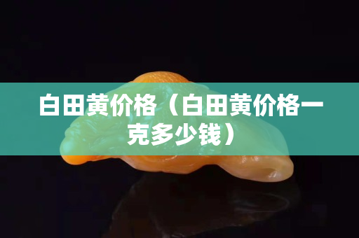 白田黄价格（白田黄价格一克多少钱）