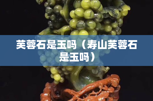 芙蓉石是玉吗（寿山芙蓉石是玉吗）