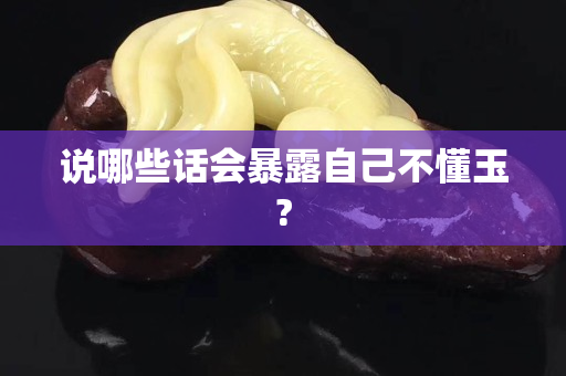 说哪些话会暴露自己不懂玉?