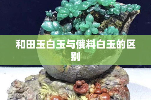 和田玉白玉与俄料白玉的区别