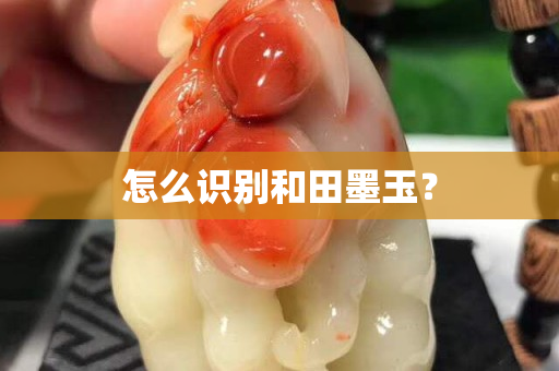 怎么识别和田墨玉？