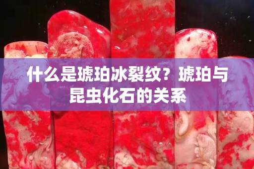 什么是琥珀冰裂纹？琥珀与昆虫化石的关系