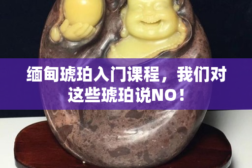 缅甸琥珀入门课程，我们对这些琥珀说NO！