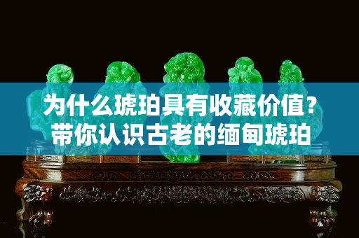 为什么琥珀具有收藏价值？带你认识古老的缅甸琥珀