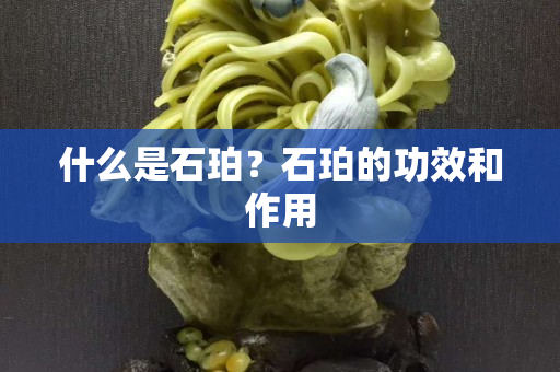 什么是石珀？石珀的功效和作用