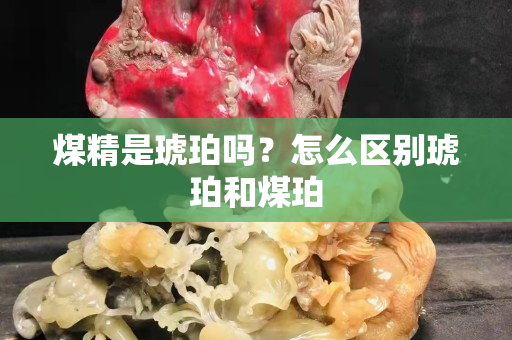 煤精是琥珀吗？怎么区别琥珀和煤珀