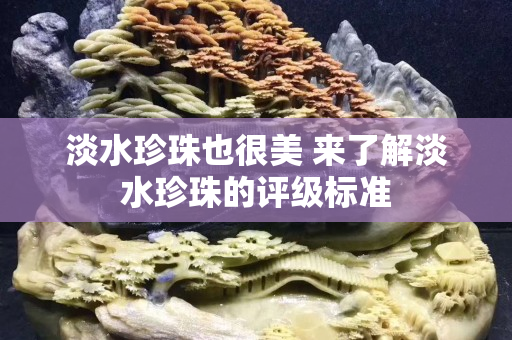 淡水珍珠也很美 来了解淡水珍珠的评级标准