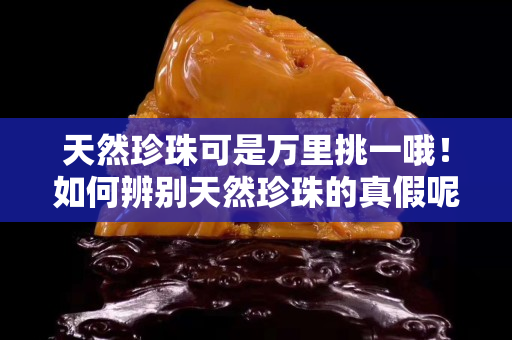 天然珍珠可是万里挑一哦！如何辨别天然珍珠的真假呢？