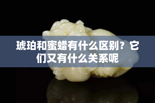 琥珀和蜜蜡有什么区别？它们又有什么关系呢