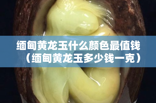 缅甸黄龙玉什么颜色最值钱（缅甸黄龙玉多少钱一克）