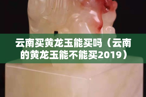 云南买黄龙玉能买吗（云南的黄龙玉能不能买2019）