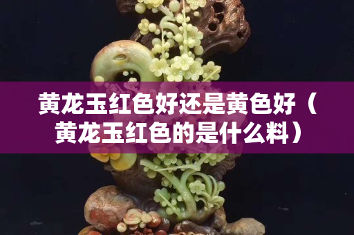 黄龙玉红色好还是黄色好（黄龙玉红色的是什么料）