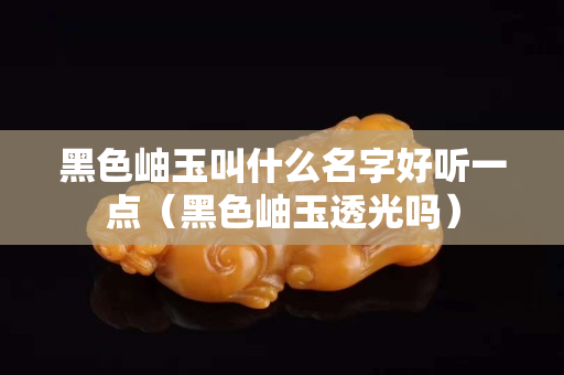 黑色岫玉叫什么名字好听一点（黑色岫玉透光吗）