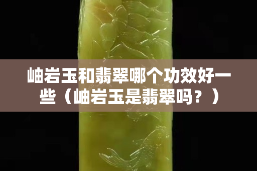 岫岩玉和翡翠哪个功效好一些（岫岩玉是翡翠吗？）