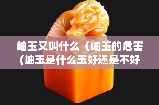 岫玉又叫什么（岫玉的危害(岫玉是什么玉好还是不好)）