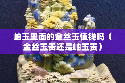 岫玉里面的金丝玉值钱吗（金丝玉贵还是岫玉贵）