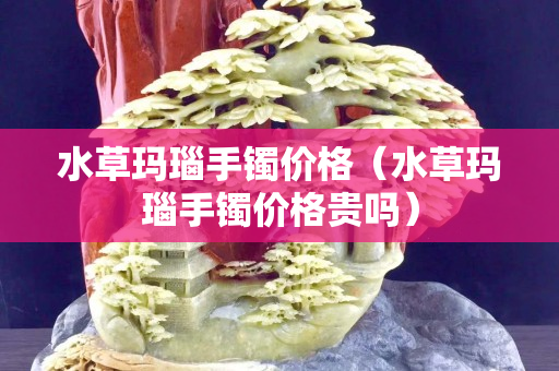 水草玛瑙手镯价格（水草玛瑙手镯价格贵吗）