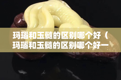 玛瑙和玉髓的区别哪个好（玛瑙和玉髓的区别哪个好一点）