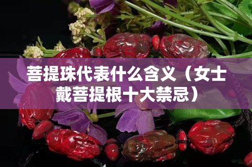 菩提珠代表什么含义（女士戴菩提根十大禁忌）