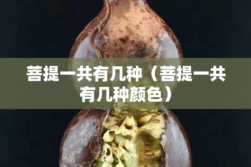 菩提一共有几种（菩提一共有几种颜色）