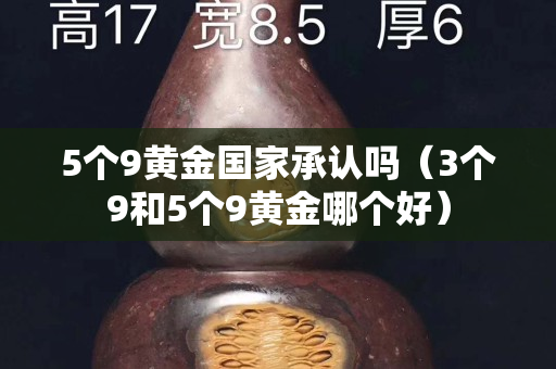 5个9黄金国家承认吗（3个9和5个9黄金哪个好）