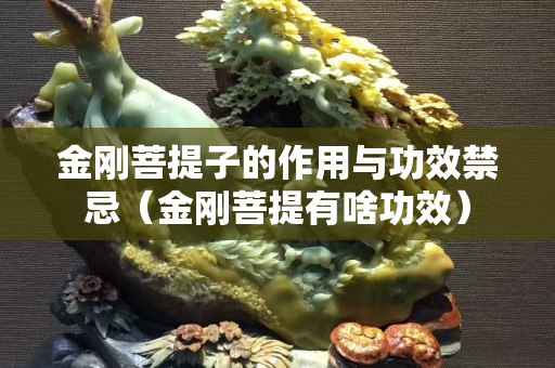 金刚菩提子的作用与功效禁忌（金刚菩提有啥功效）