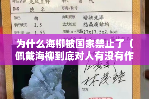 为什么海柳被国家禁止了（佩戴海柳到底对人有没有作用）