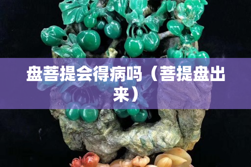 盘菩提会得病吗（菩提盘出来）