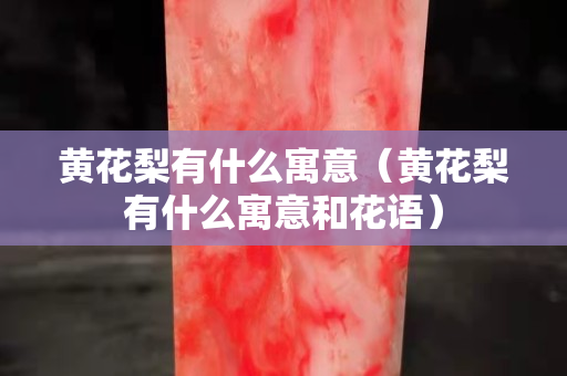 黄花梨有什么寓意（黄花梨有什么寓意和花语）