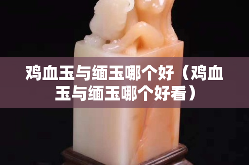 鸡血玉与缅玉哪个好（鸡血玉与缅玉哪个好看）